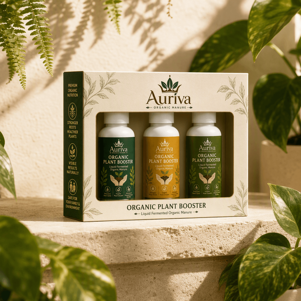 Auriva 3 pack in a sunlit indoor botanical garden
