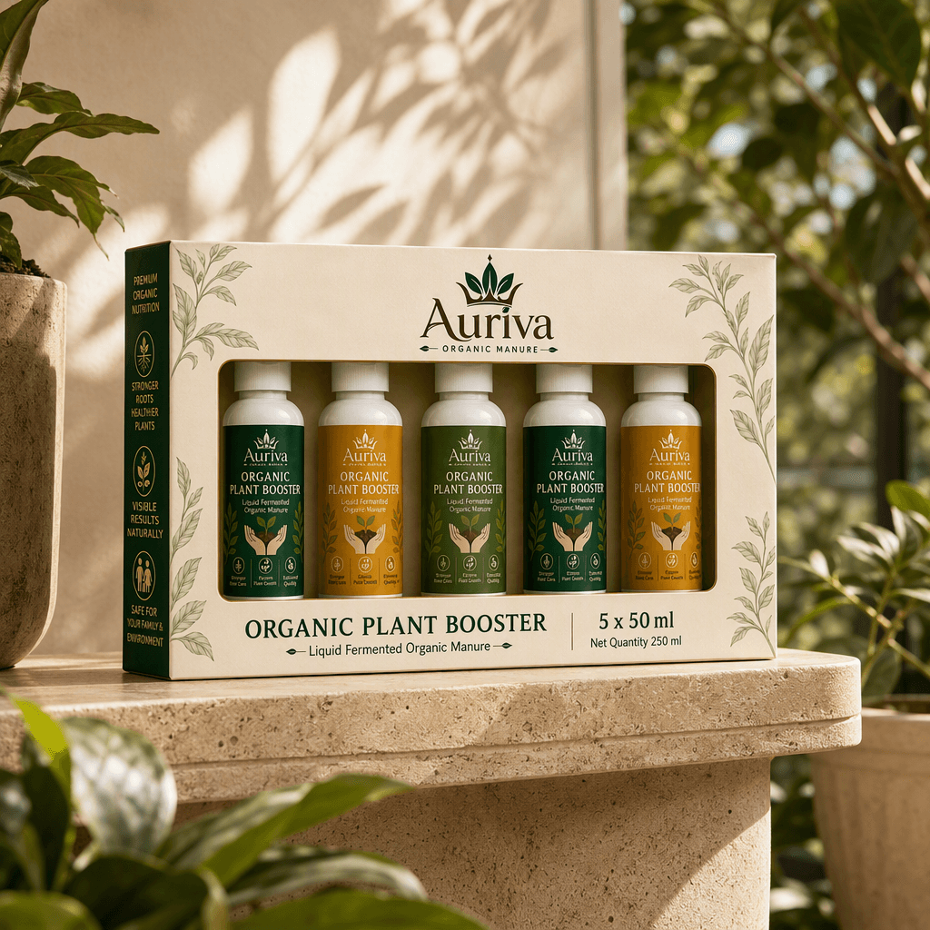 Auriva 5 pack in a warm sunlit conservatory